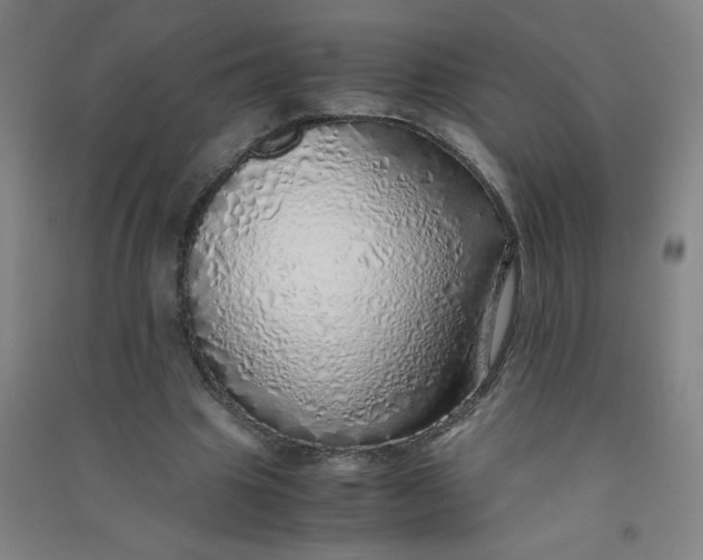 X0000090900441200708201722