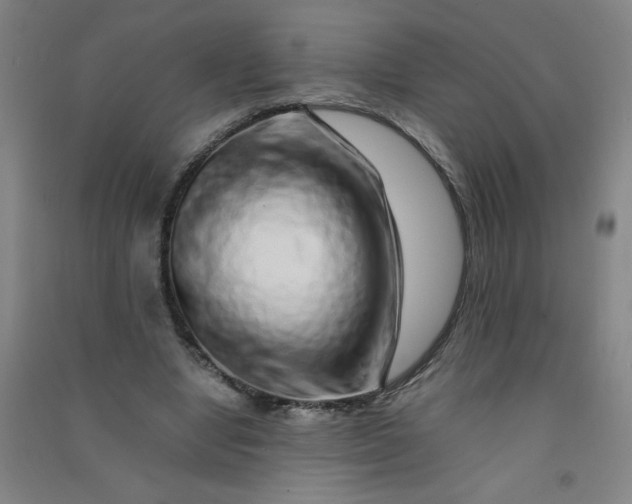 X0000090900442200708201722