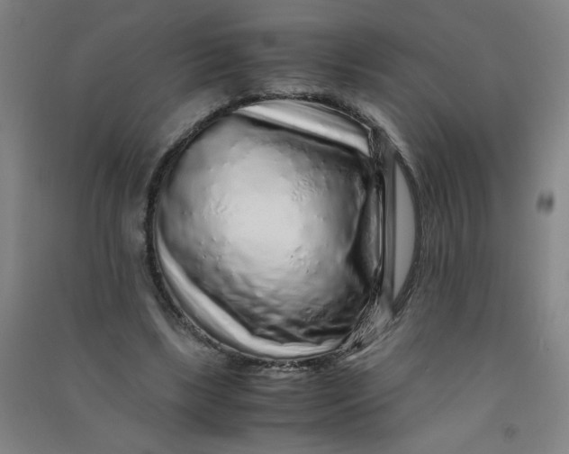 X0000090900443200708201722