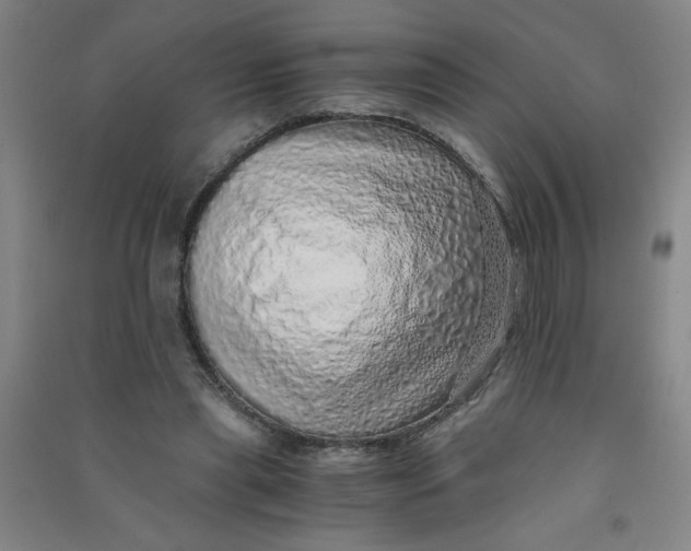 X0000090900445200708201722