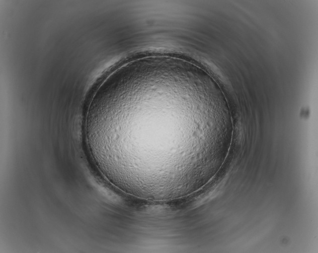 X0000090900446200708201722