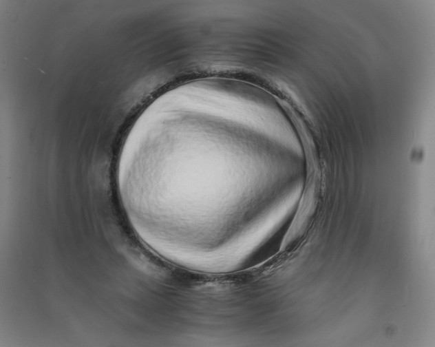 X0000090900447200708201722