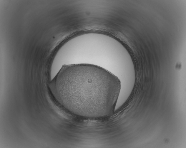 X0000090900448200708201722