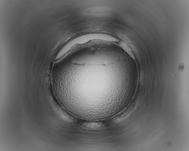 X0000090900449200708201722