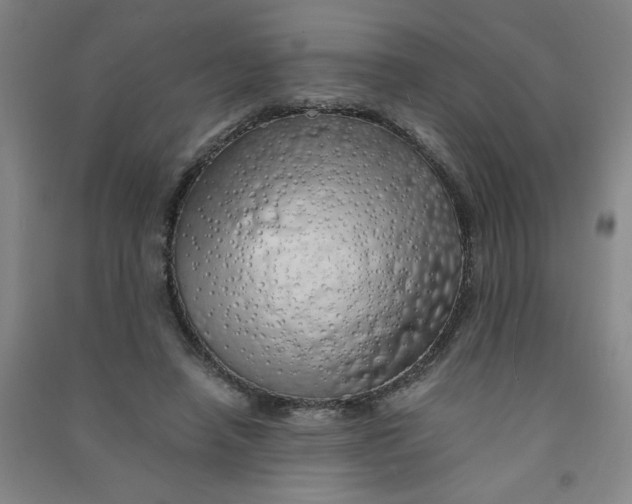 X0000090900450200708201722