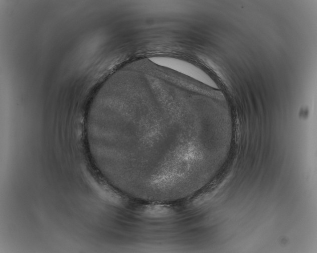 X0000090900451200708201722