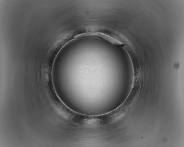 X0000090900452200708201722