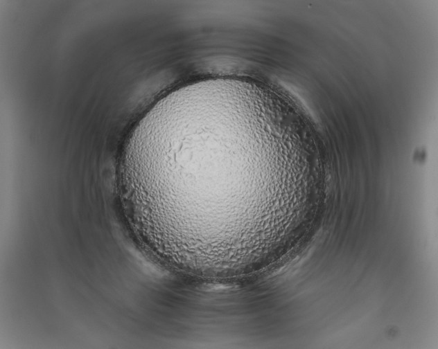 X0000090900453200708201722