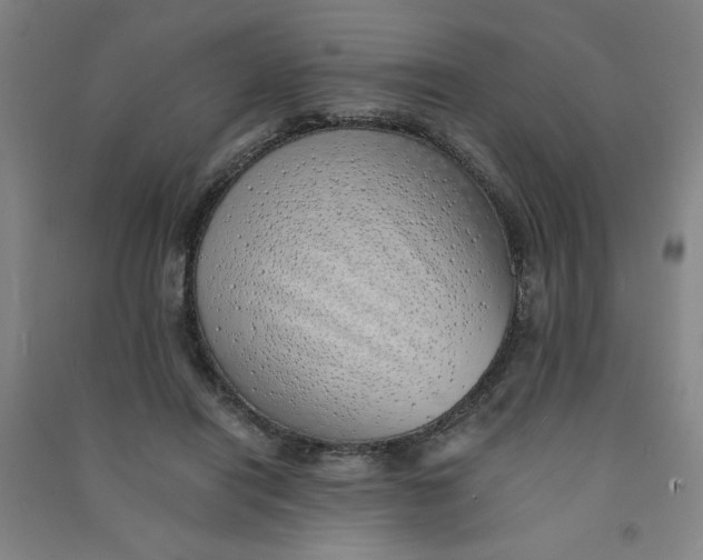 X0000090900454200708201722