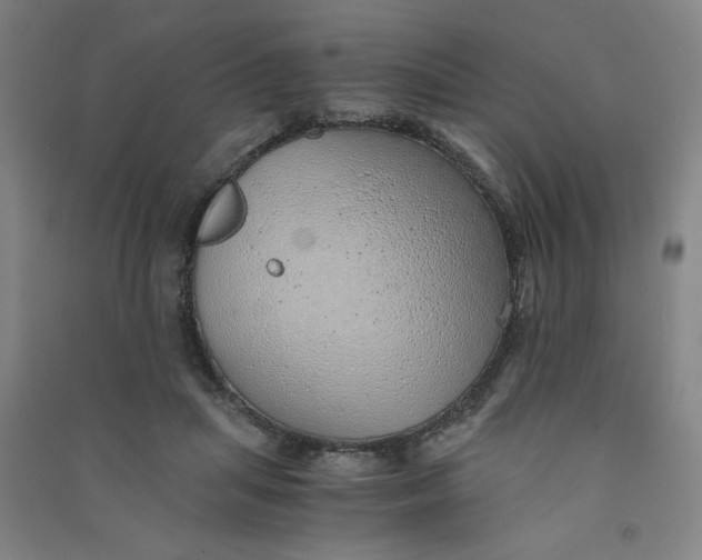 X0000090900455200708201722