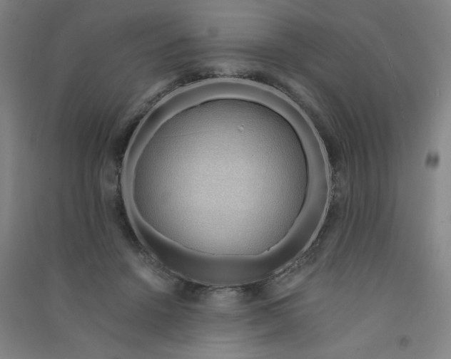 X0000090900456200708201722