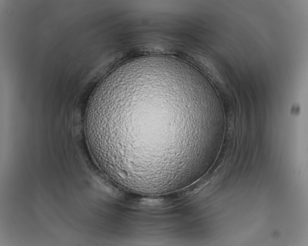 X0000090900457200708201722