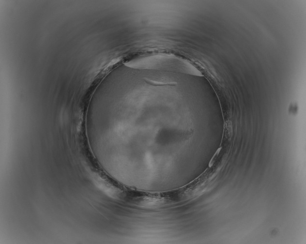 X0000090900458200708201722