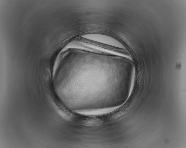 X0000090900459200708201722