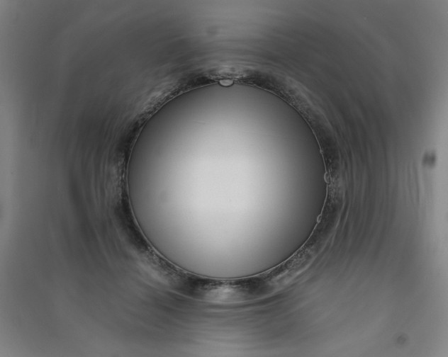 X0000090900460200708201722