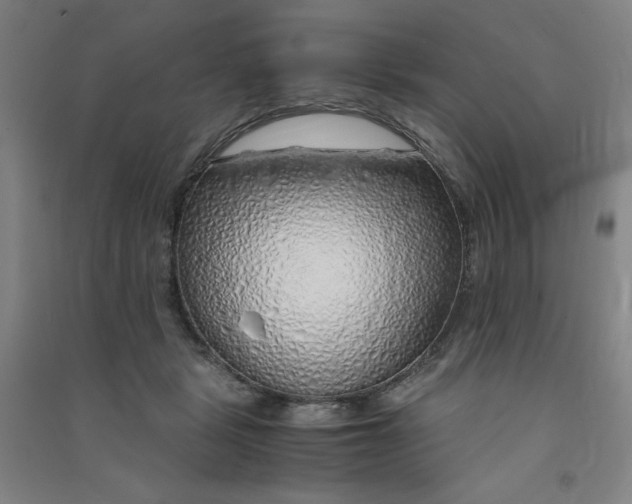 X0000090900461200708201722