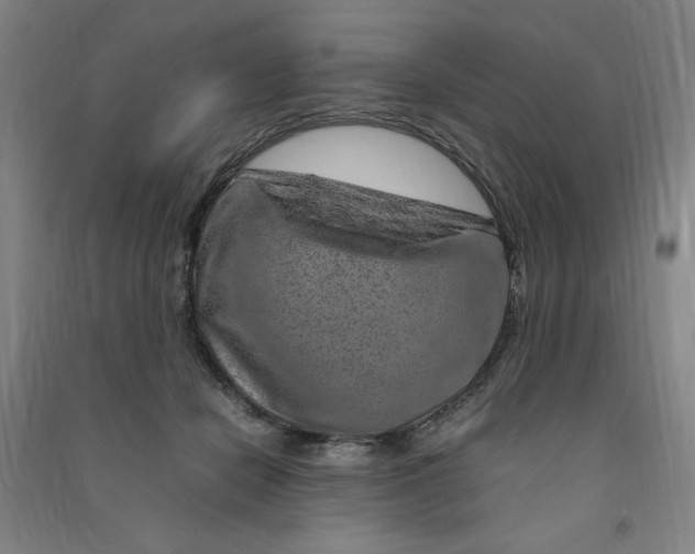 X0000090900462200708201722