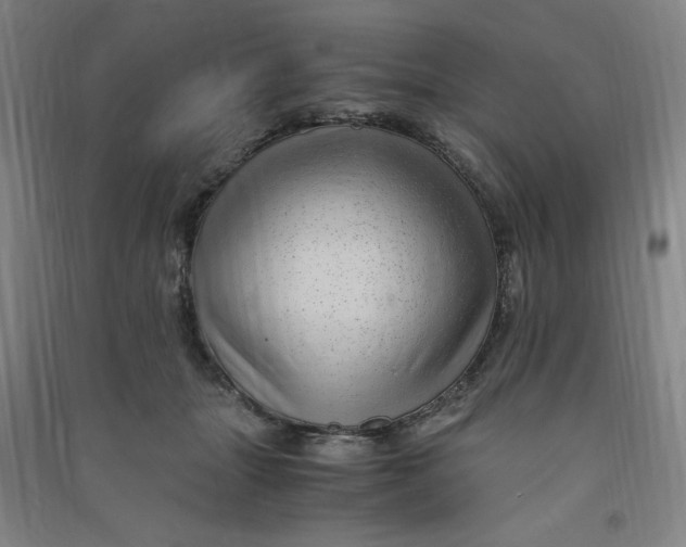 X0000090900463200708201722