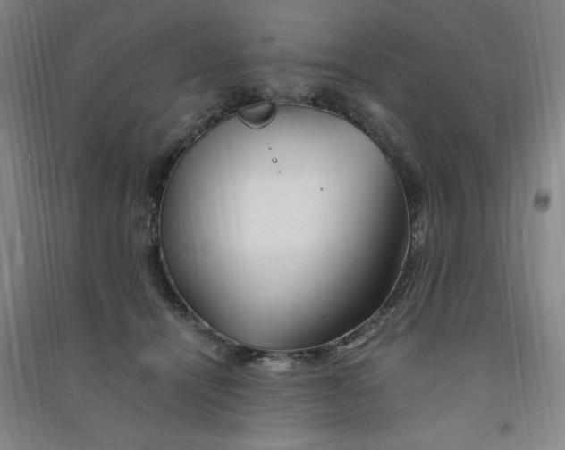 X0000090900464200708201722