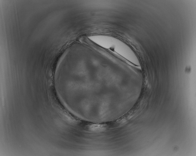 X0000090900465200708201722