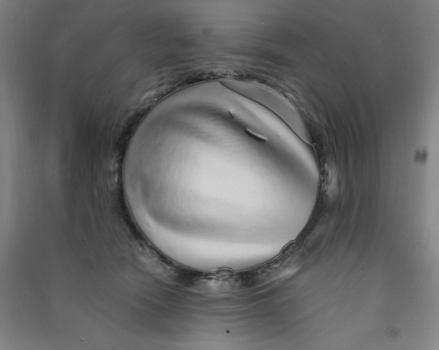 X0000090900466200708201722