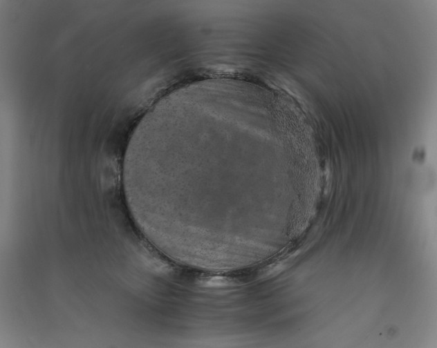 X0000090900467200708201722