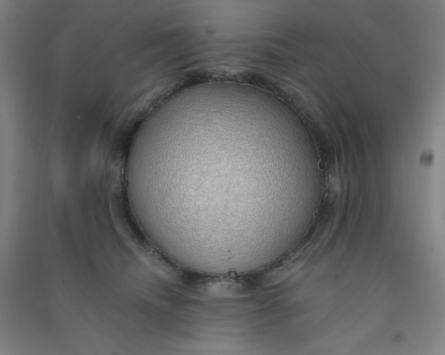 X0000090900468200708201722