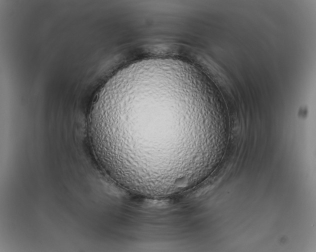 X0000090900469200708201722