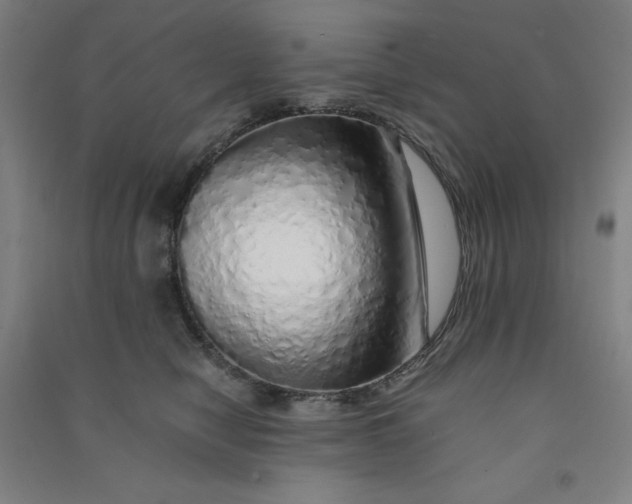 X0000090900470200708201722