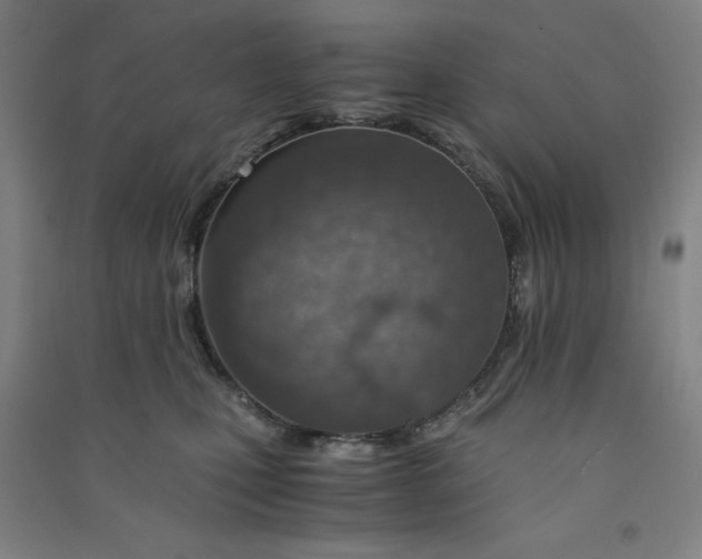 X0000090900471200708201722