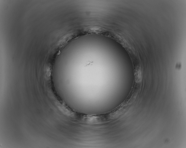 X0000090900472200708201722