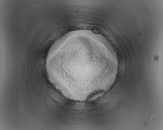 X0000090900473200708201722