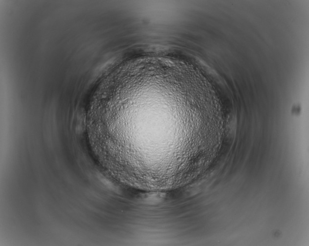 X0000090900474200708201722