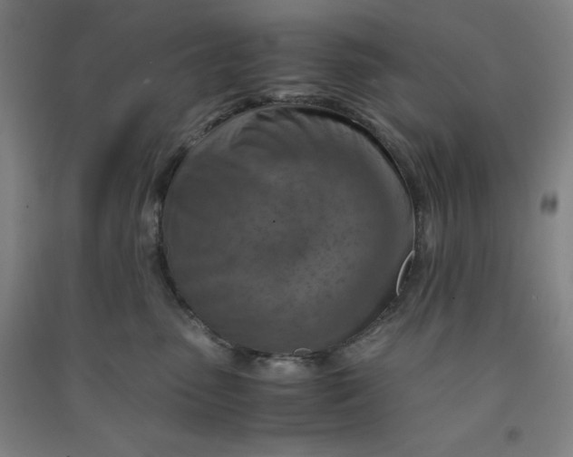 X0000090900475200708201722