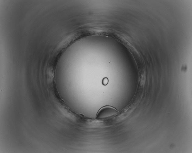 X0000090900476200708201722