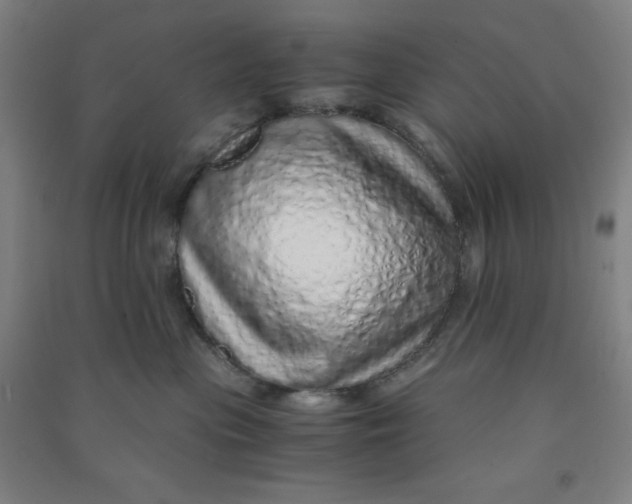 X0000090900477200708201722