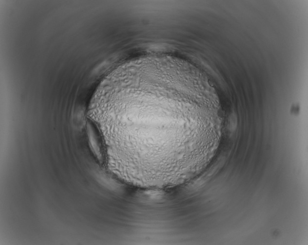 X0000090900478200708201722