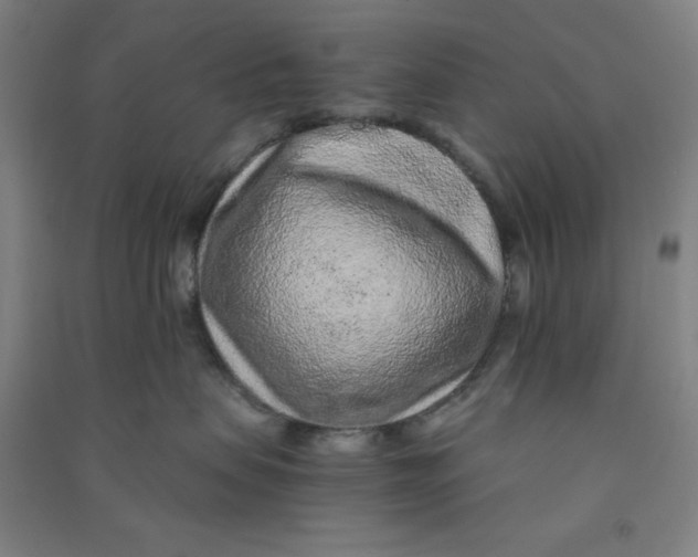 X0000090900479200708201722