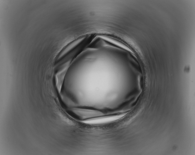 X0000090900481200708201721