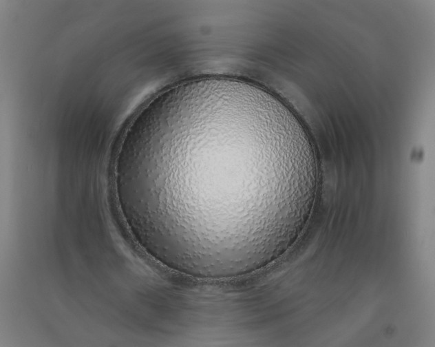 X0000090900482200708201721