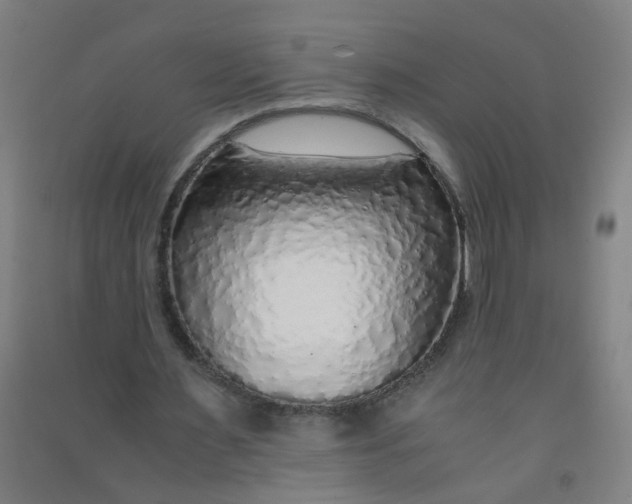 X0000090900483200708201721