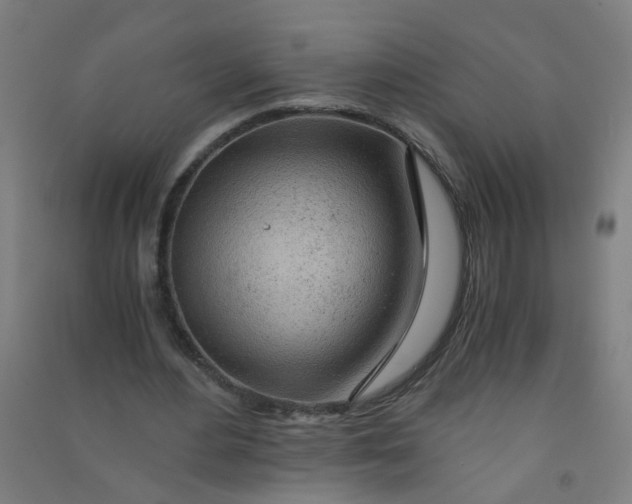 X0000090900484200708201721