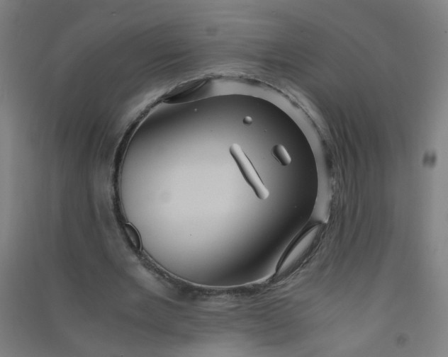 X0000090900485200708201721