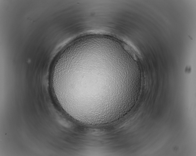 X0000090900486200708201721