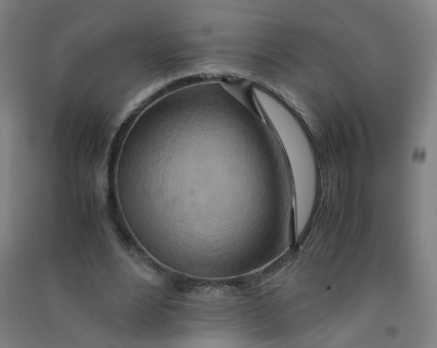 X0000090900488200708201721