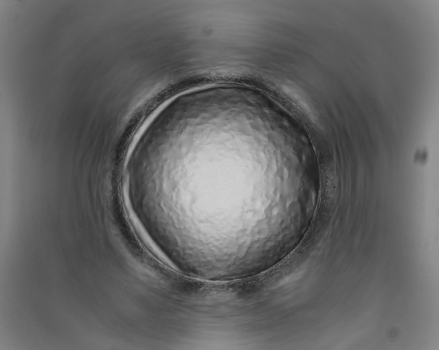 X0000090900491200708201721