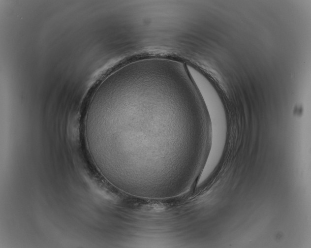 X0000090900492200708201721