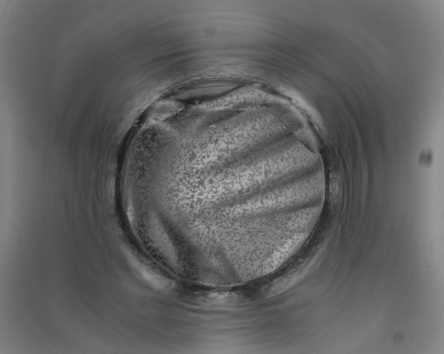 X0000090900493200708201721