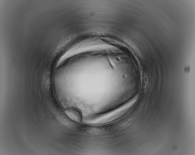 X0000090900494200708201721