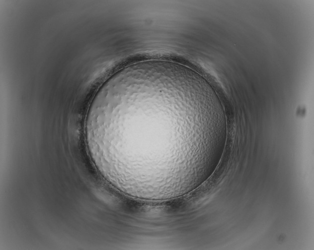 X0000090900495200708201721